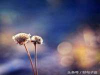广州慧娴科技有限公司