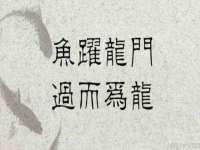 广州慧娴科技有限公司