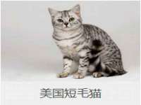广州慧娴科技有限公司