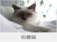 广州慧娴科技有限公司