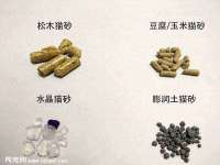 广州慧娴科技有限公司