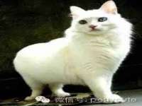 广州慧娴科技有限公司