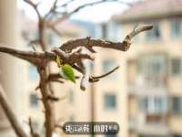 广州慧娴科技有限公司