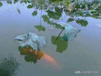 广州慧娴科技有限公司