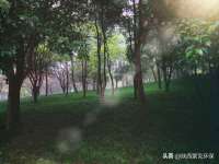 广州慧娴科技有限公司