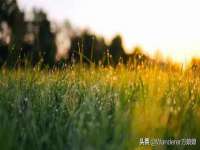 广州慧娴科技有限公司
