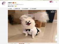 广州慧娴科技有限公司