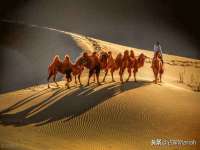 广州慧娴科技有限公司