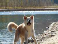广州慧娴科技有限公司